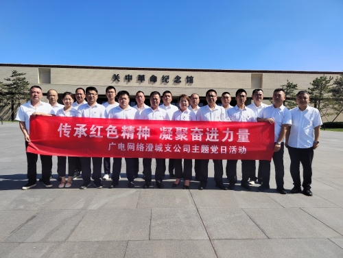 澄城支公司党支部开展主题党日活动